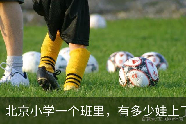 北京小学一个班里，有多少娃上了课外班？