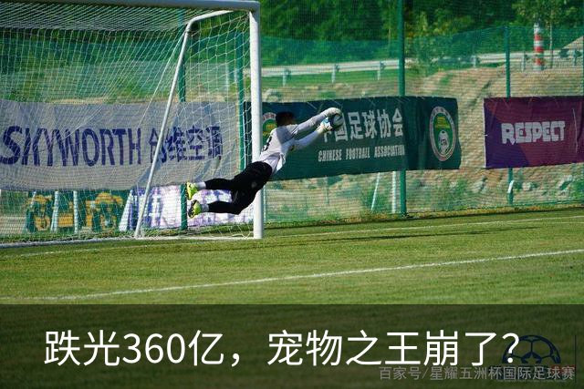 跌光360亿，宠物之王崩了？